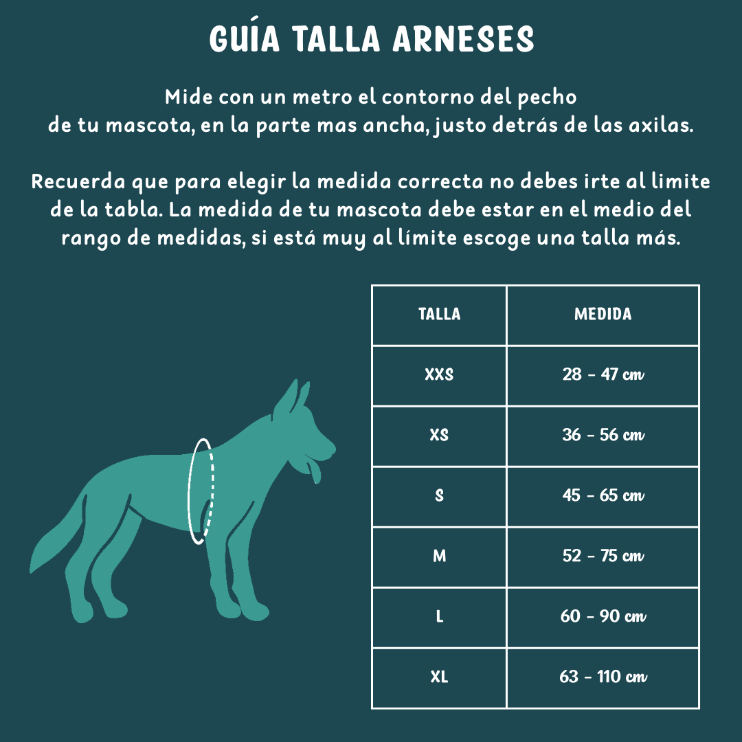 Arnés en H Kimbaya