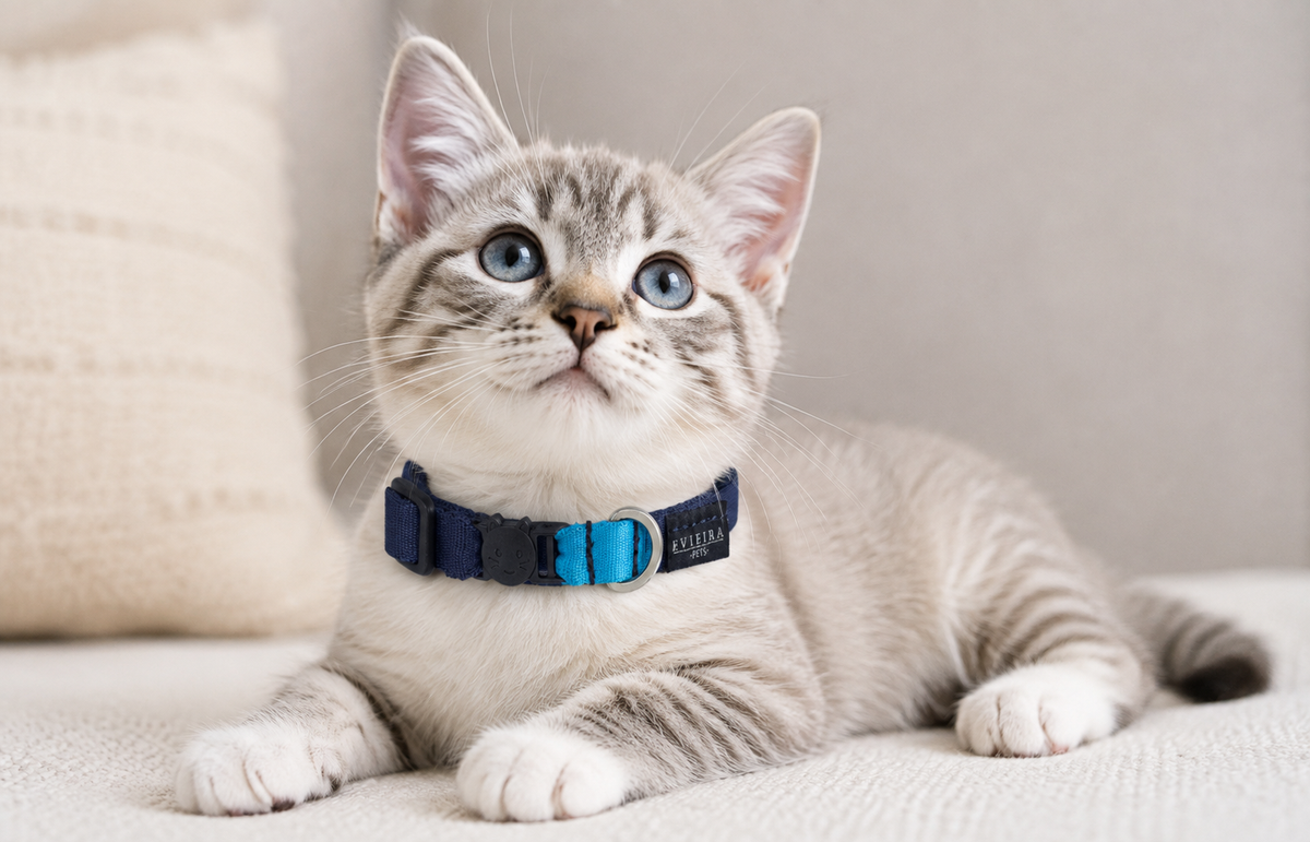 Collar de gato Ocean