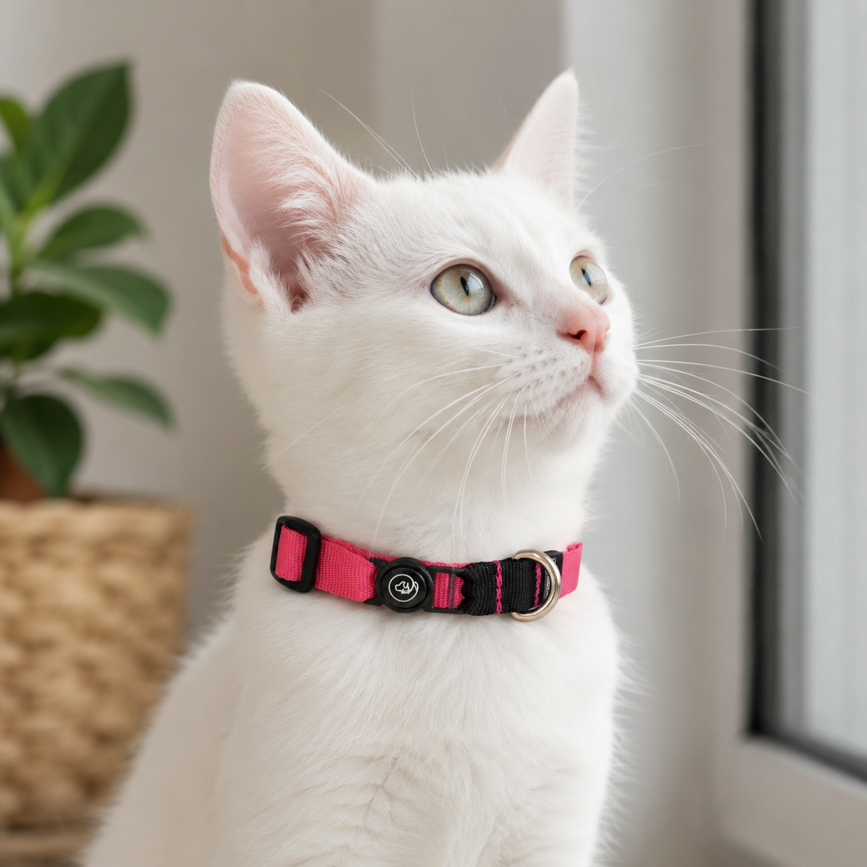 Collar de gato Pinky