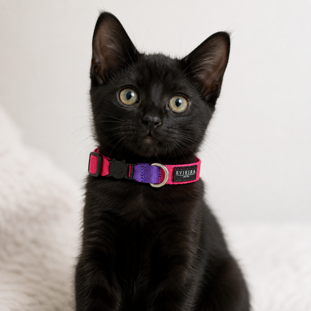 Collar de gato Gummy