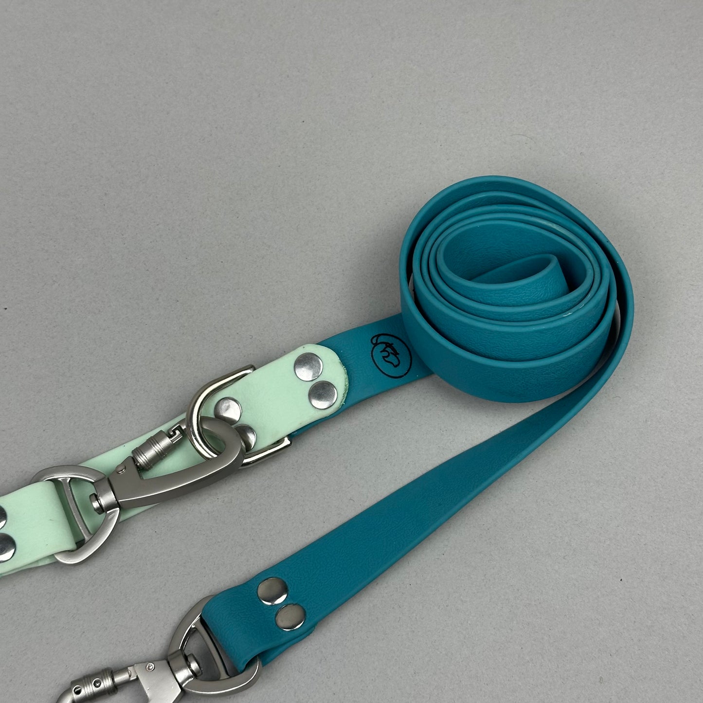 Traílla doble función Impermeable Mint