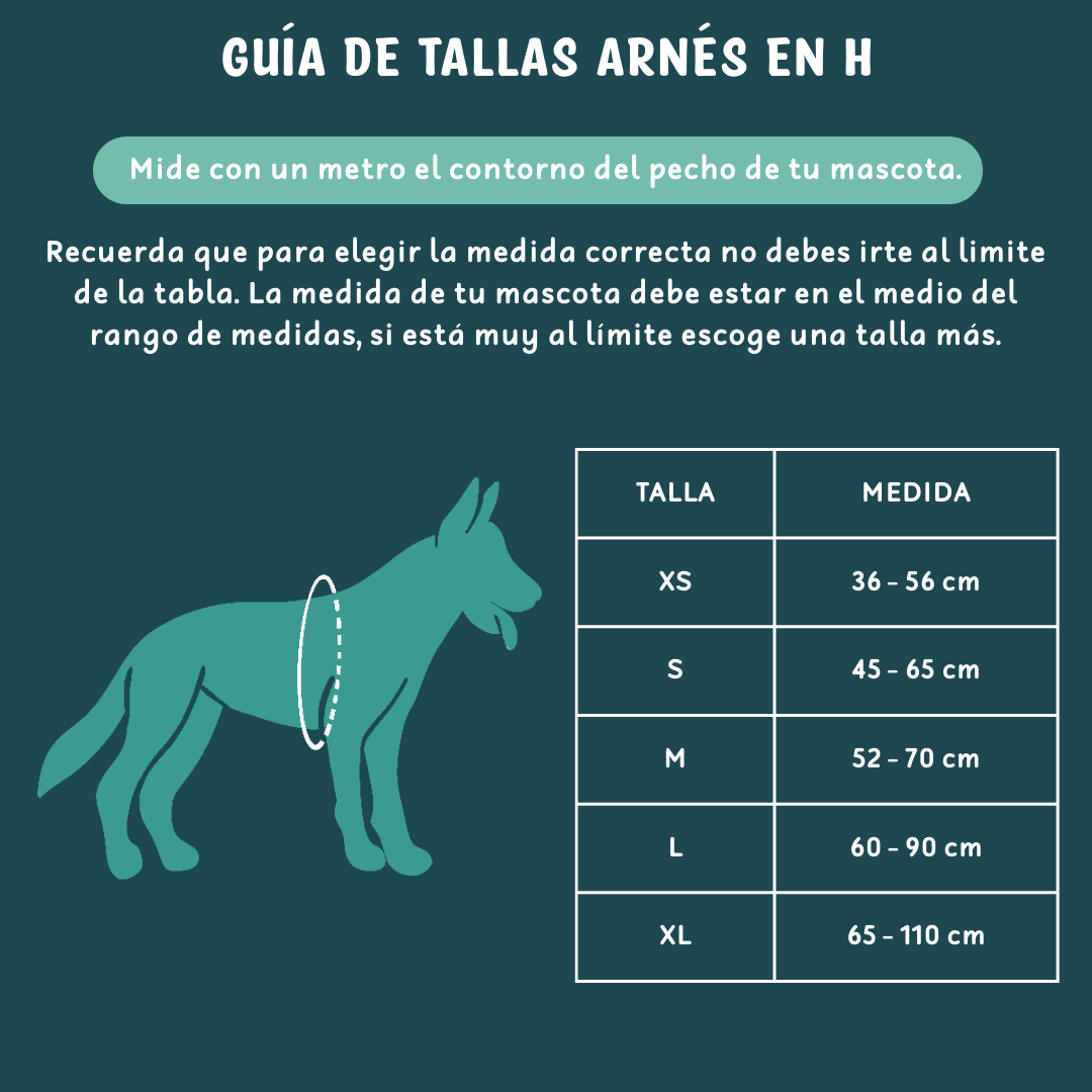 Arnés en H impermeable FRESH