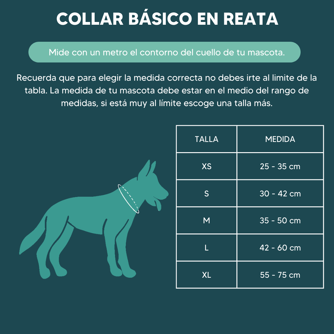 Collar básico Vibrant