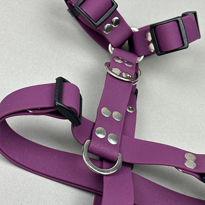 Arnés impermeable Morado