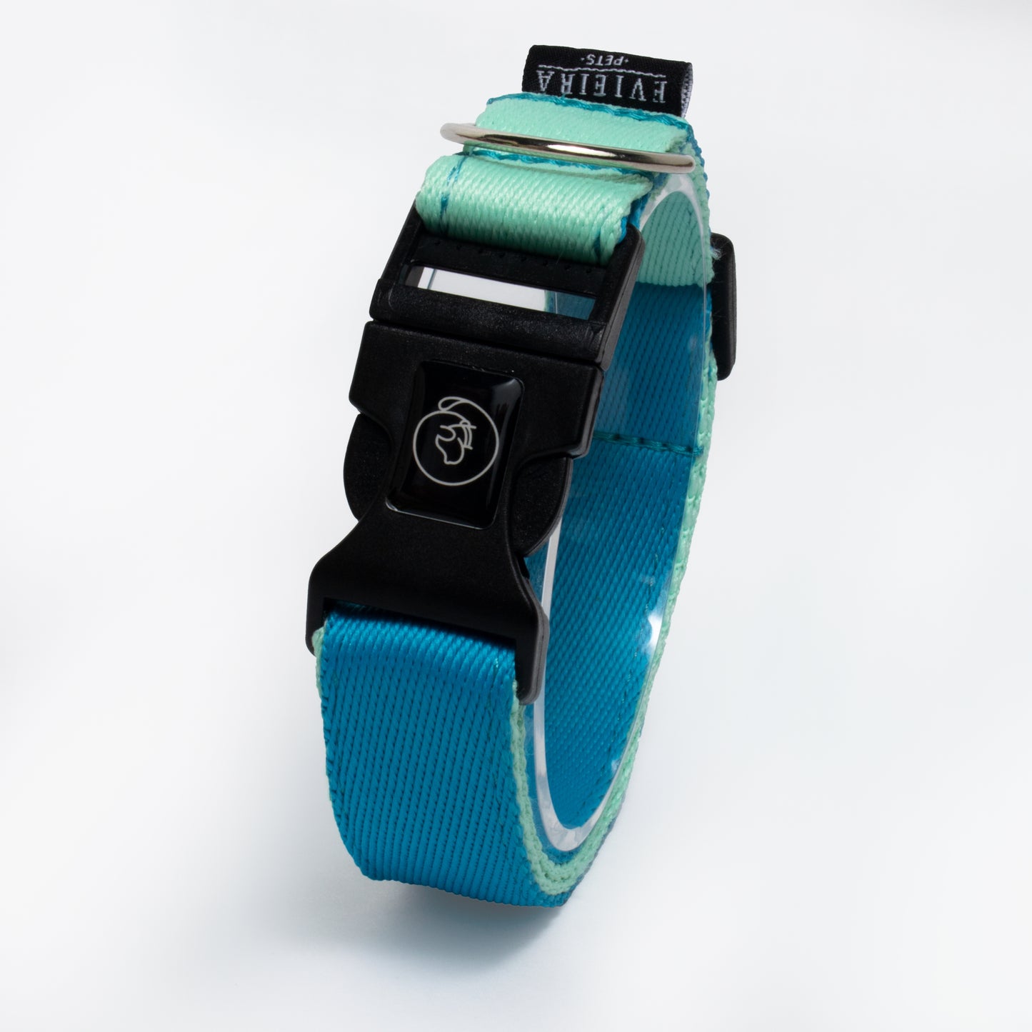 Collar básico AQUA