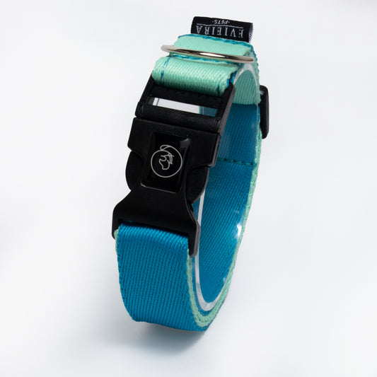 Collar Aqua en promoción