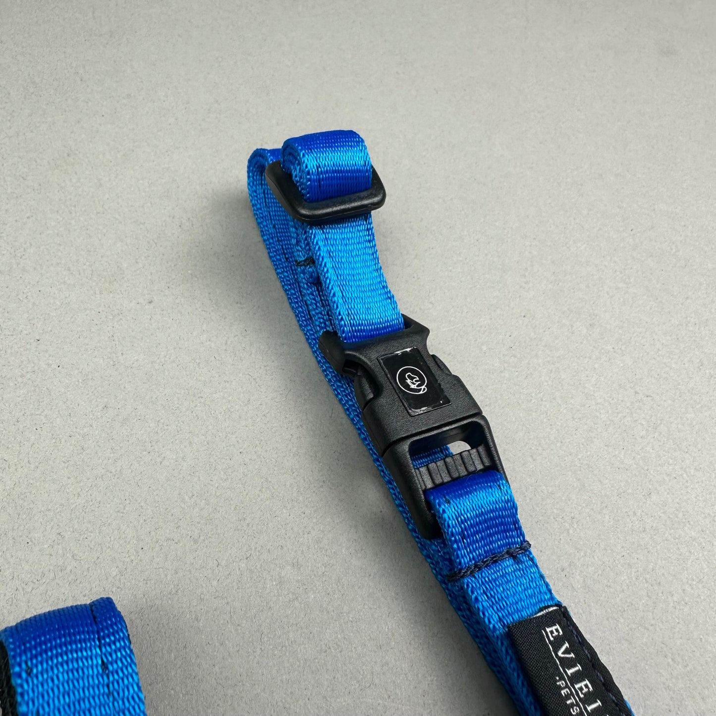 Halti AZUL REY