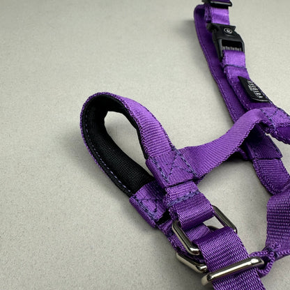 Halti MORADO