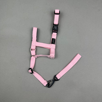 Halti ROSA CLARO