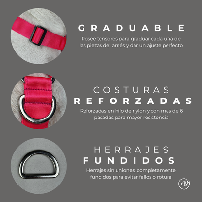 Arnés en H Fucsia + trailla GRATIS