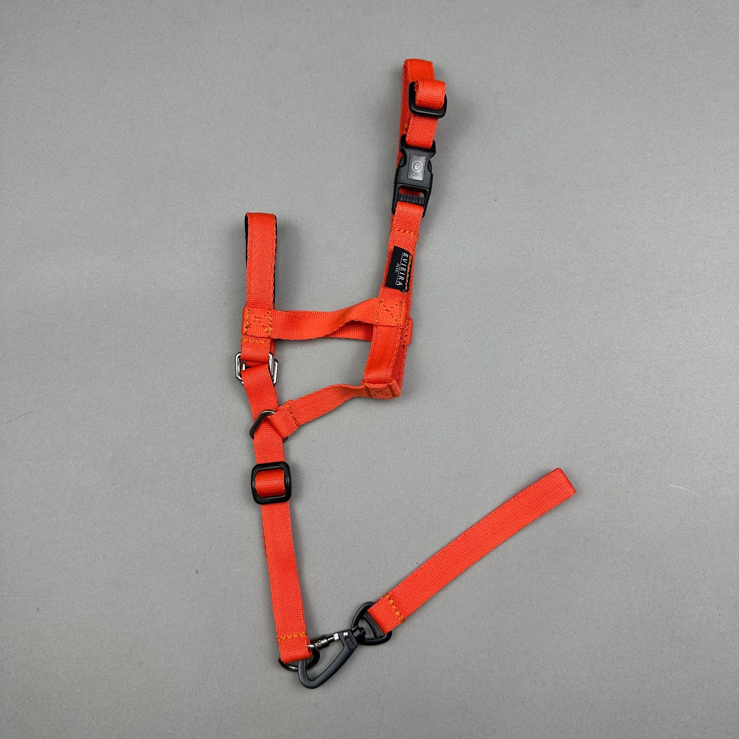 Halti NARANJA