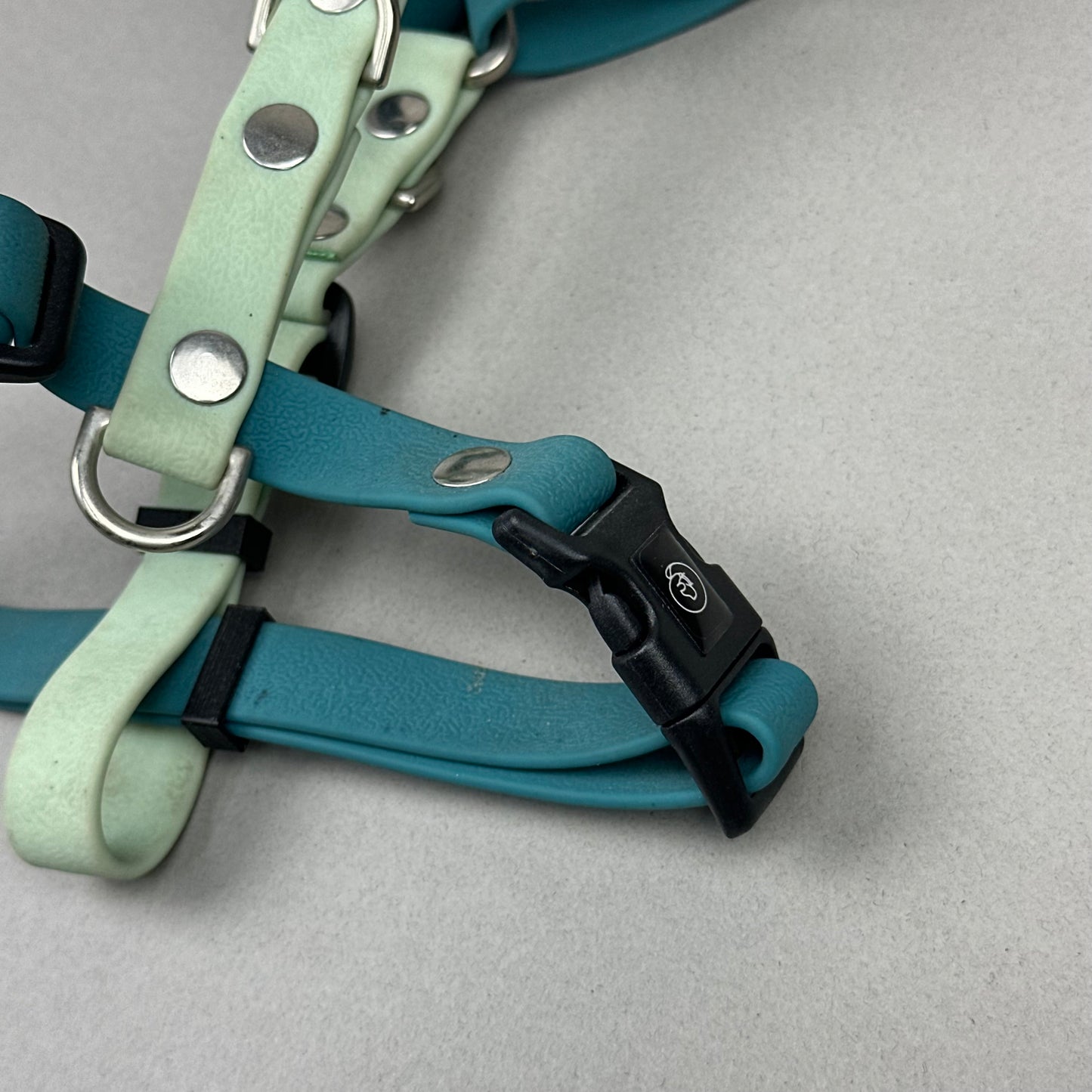 Arnés impermeable Mint