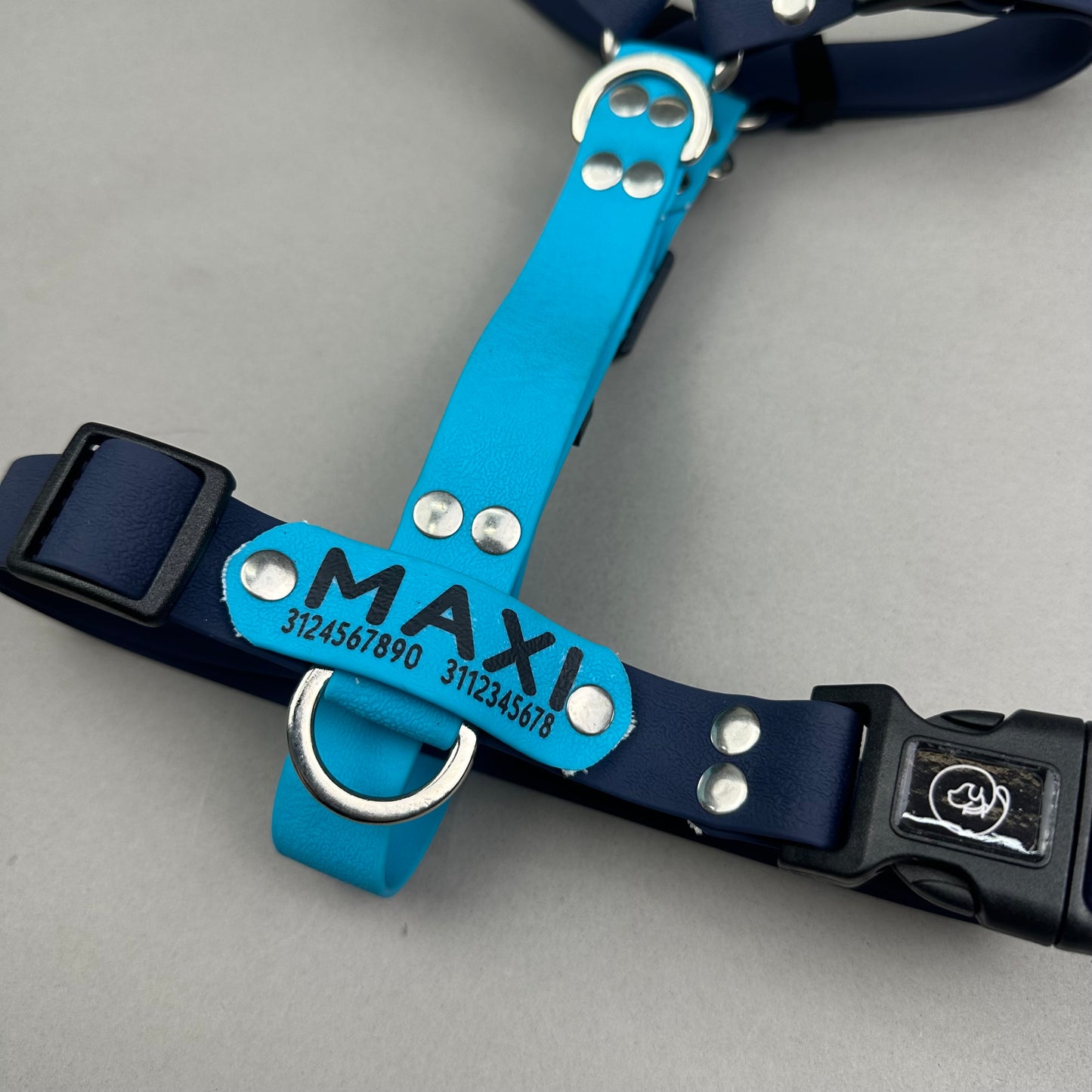 Arnés impermeable SKYBLUE