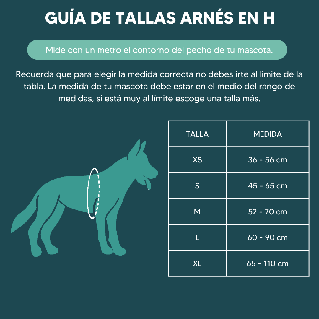 Arnés en H Grape