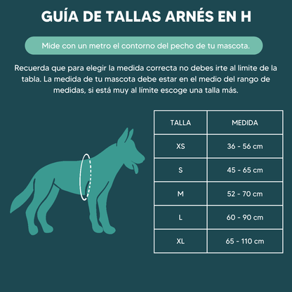 Arnés en H Grape
