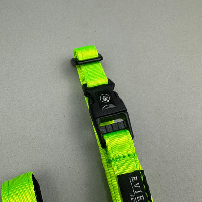 Halti VERDE NEÓN