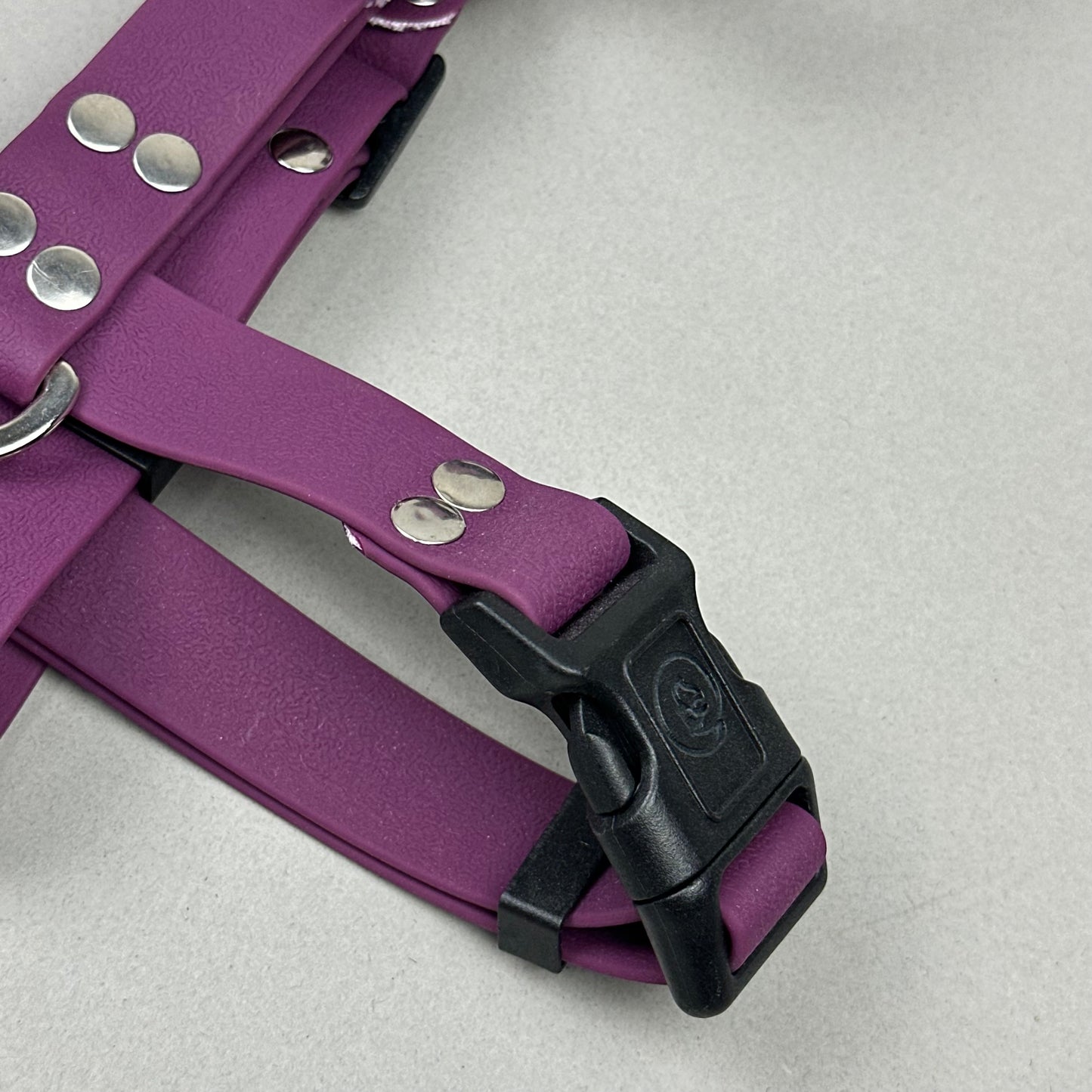 Arnés impermeable Morado