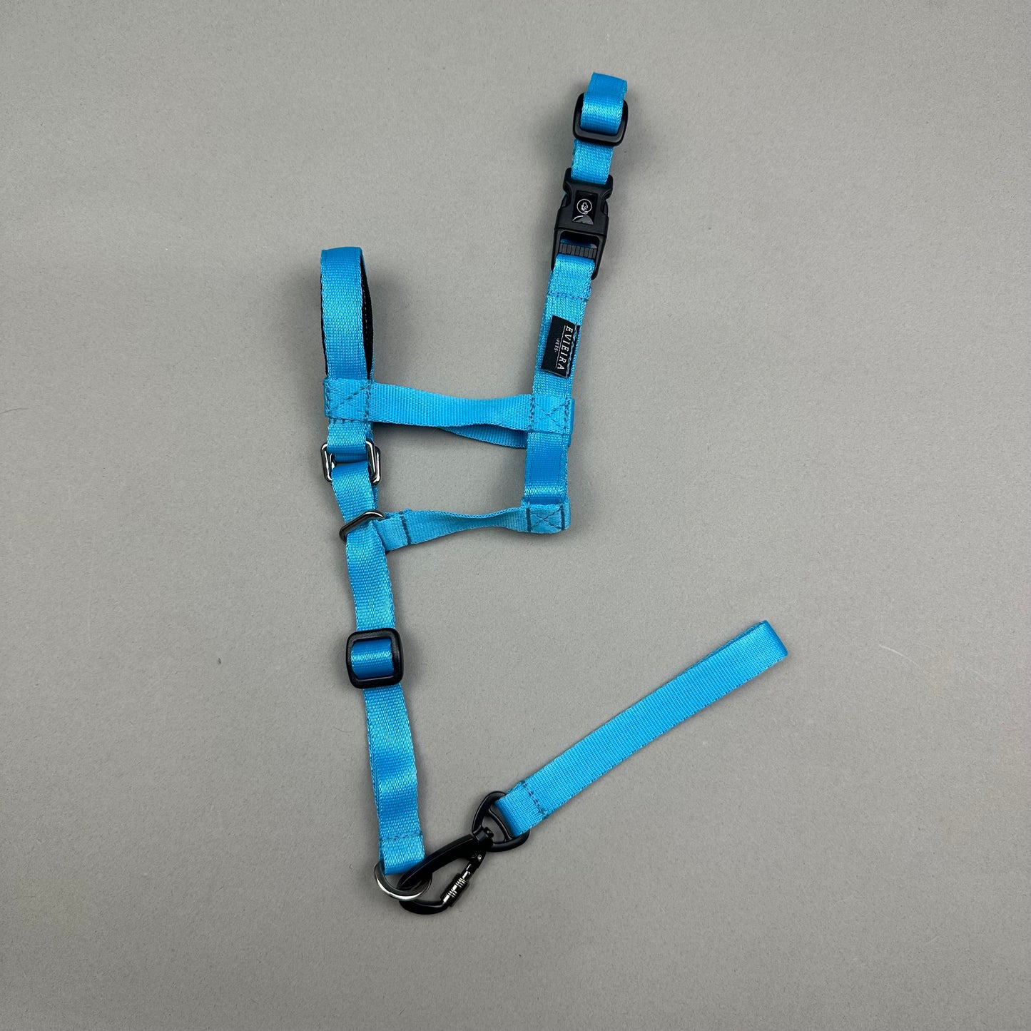 Halti CELESTE