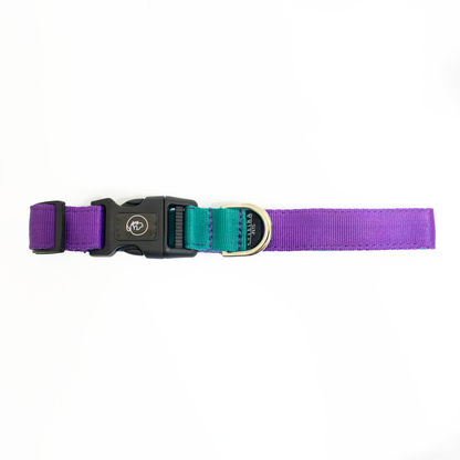 Collar básico MAGIC