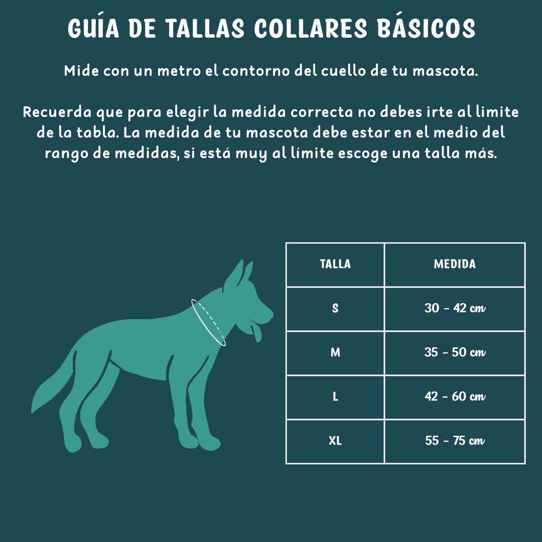 Collar básico Bubble