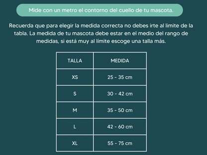 Collar de Identificación
