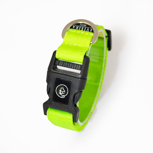 Collar básico Verde neón