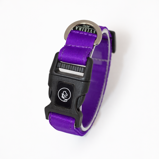 Collar básico Morado