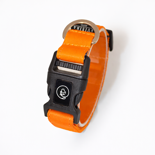 Collar básico Naranja