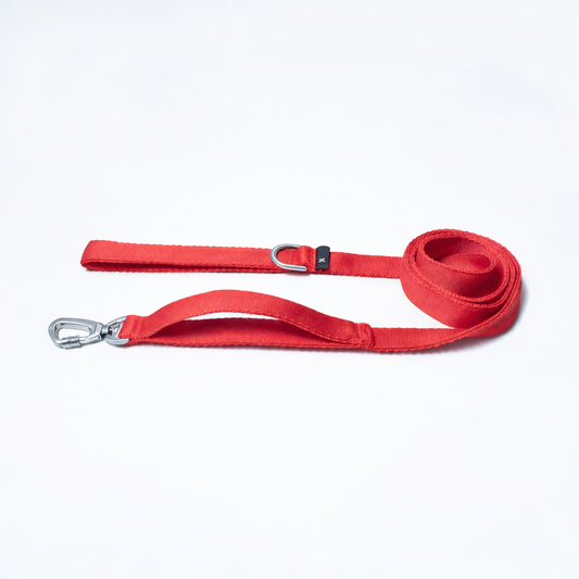 Traílla clásica roja