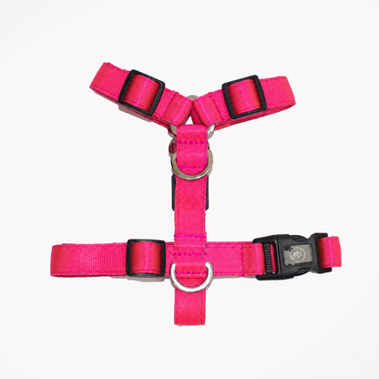 Arnés en H Fucsia + trailla GRATIS
