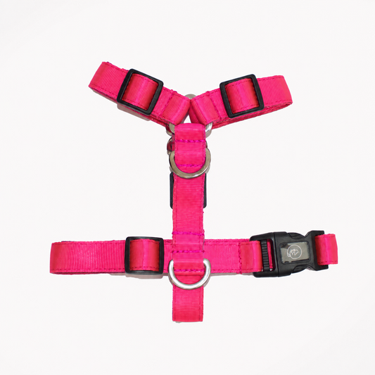 Arnés en H Fucsia + trailla GRATIS