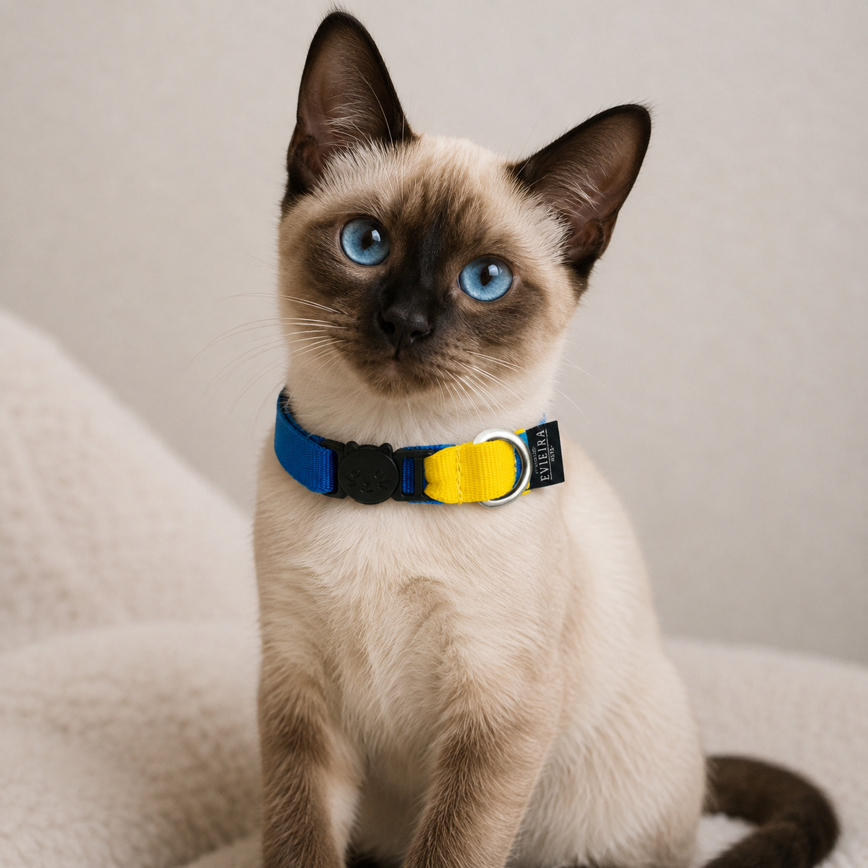 Collar de gato Sunny