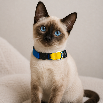 Collar de gato Sunny
