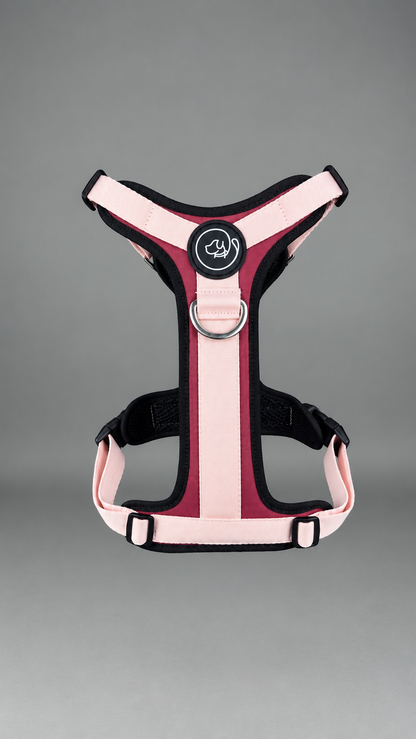 Pechera Fortex PIGGIE + Traílla GRATIS