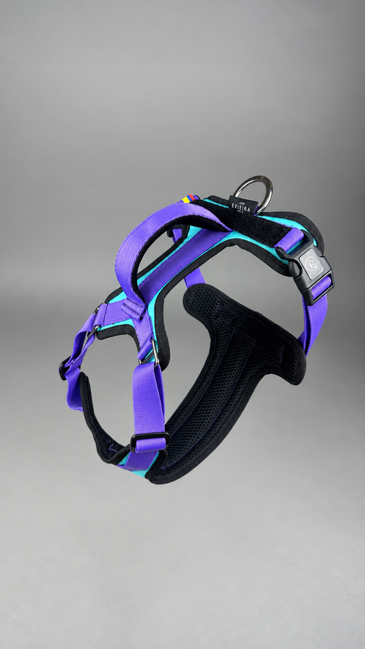 Pechera Fortex BUBBLE + Traílla GRATIS