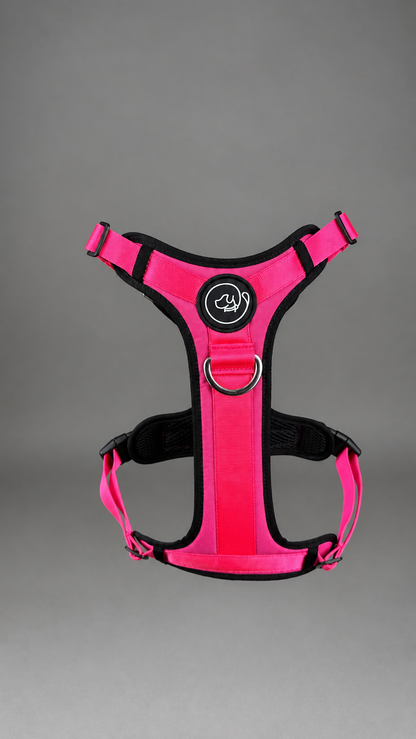 Pechera Fortex FUCSIA + Traílla GRATIS