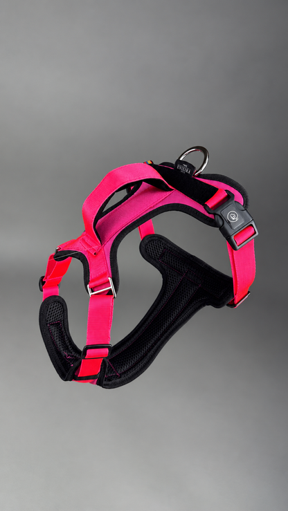 Pechera Fortex FUCSIA + Traílla GRATIS