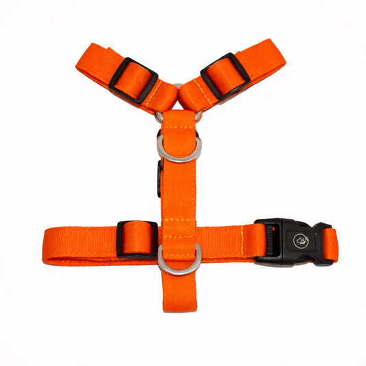 Arnés en H Naranja