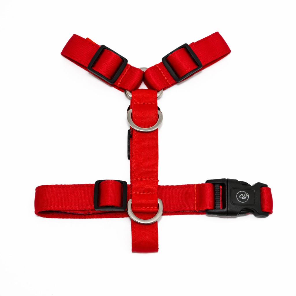 Arnés en H Rojo
