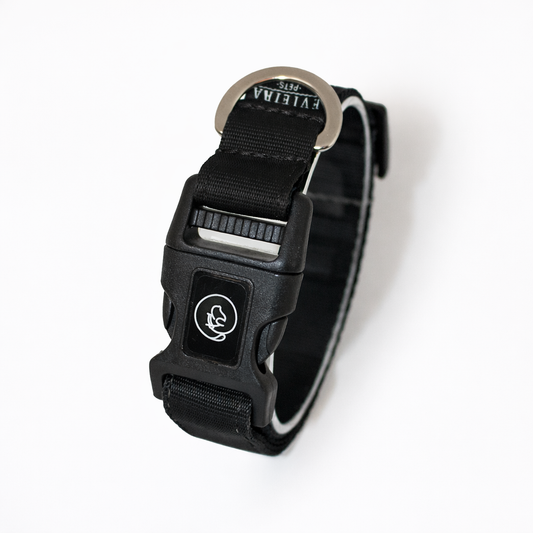 Collar básico Negro