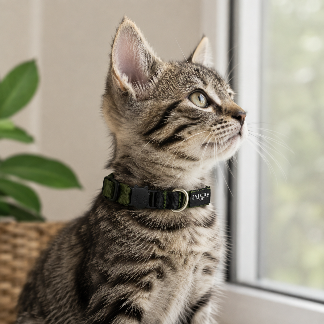 Collar de gato Army