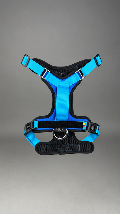 Pechera Fortex AZUL + Traílla GRATIS