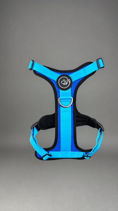 Pechera Fortex AZUL + Traílla GRATIS