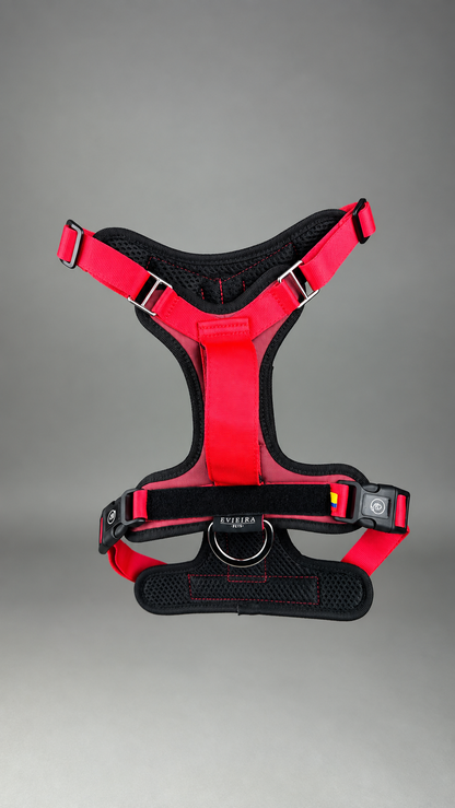 Pechera Fortex ROJA + Traílla GRATIS