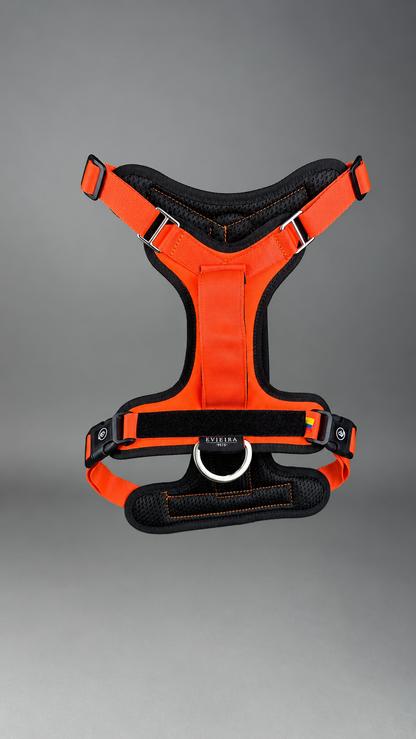 Pechera Fortex NARANJA + Traílla GRATIS