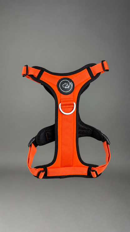 Pechera Fortex NARANJA + Traílla GRATIS
