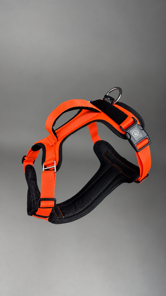Pechera Fortex NARANJA + Traílla GRATIS