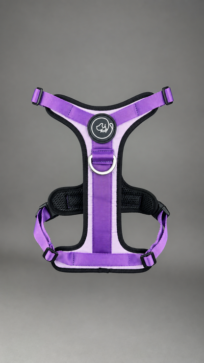 Pechera Fortex MORADA + Traílla GRATIS