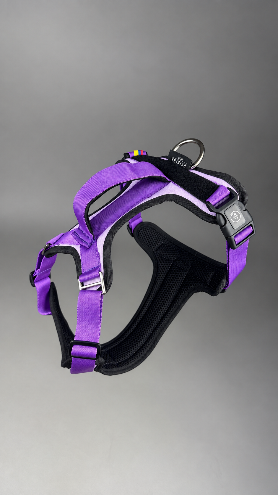 Pechera Fortex MORADA + Traílla GRATIS
