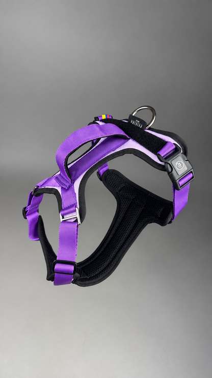 Pechera Fortex MORADA + Traílla GRATIS